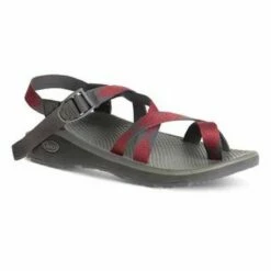 Chaco Men's ZCloud 2 Rune Reds